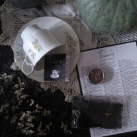 TASSEOMANCY. TEA LEAVES READING INSTRUCTIONS ✷ booklet & card: diagrams & 168 symbols dictionary - Image 3