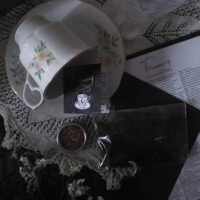 TASSEOMANCY. TEA LEAVES READING INSTRUCTIONS ✷ booklet & card: diagrams & 168 symbols dictionary - Image 7