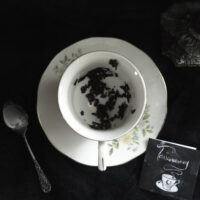 TASSEOMANCY. TEA LEAVES READING INSTRUCTIONS ✷ booklet & card: diagrams & 168 symbols dictionary - Image 4