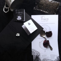TASSEOMANCY. TEA LEAVES READING INSTRUCTIONS ✷ booklet & card: diagrams & 168 symbols dictionary - Image 8