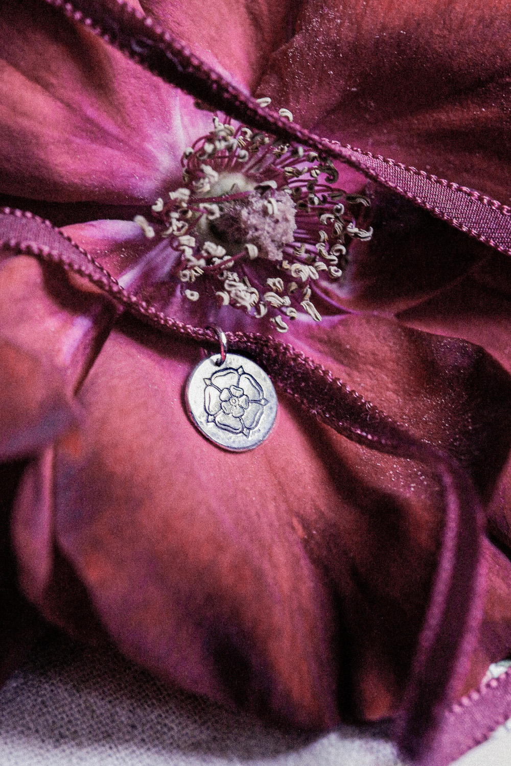BRIAR ROSE AMULET ✷ sustainable sterling silver & velvet ribbon - Image 11