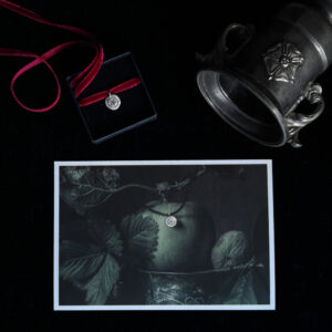 BRIAR ROSE SET. AMULET & PRINT ✷ ONLY 3 - collab w/ Ampelopsis Photography & Gwendolinoleum - recycled silver amulet + print